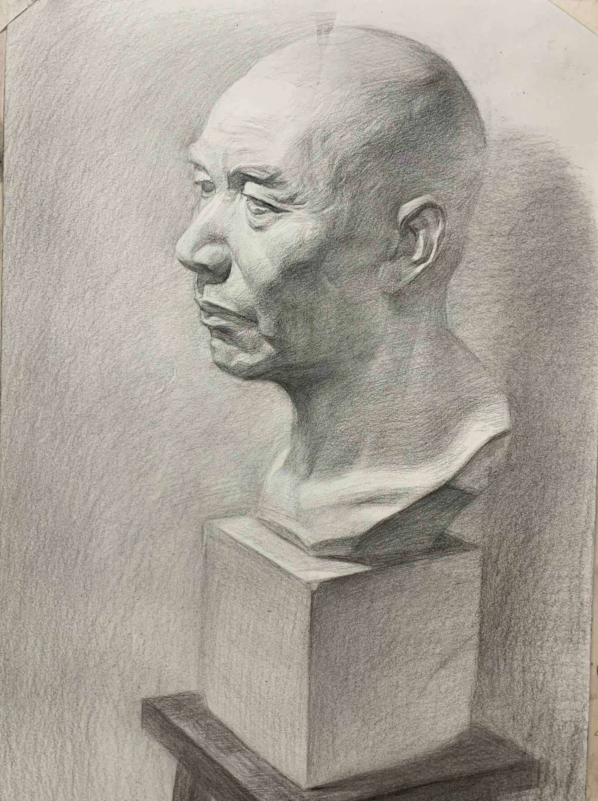 Graphite bust study
