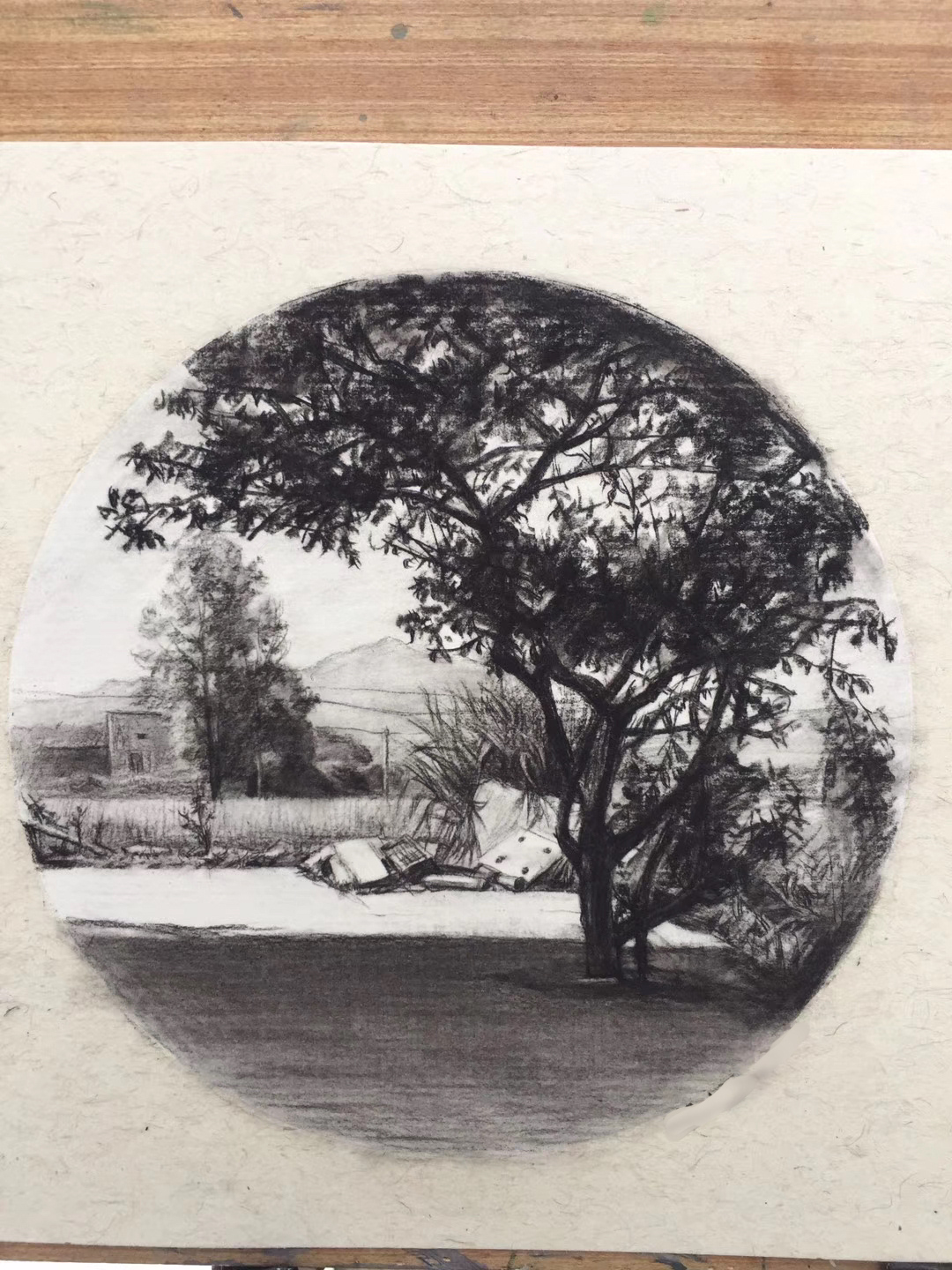 Circular tree landscape drawing
