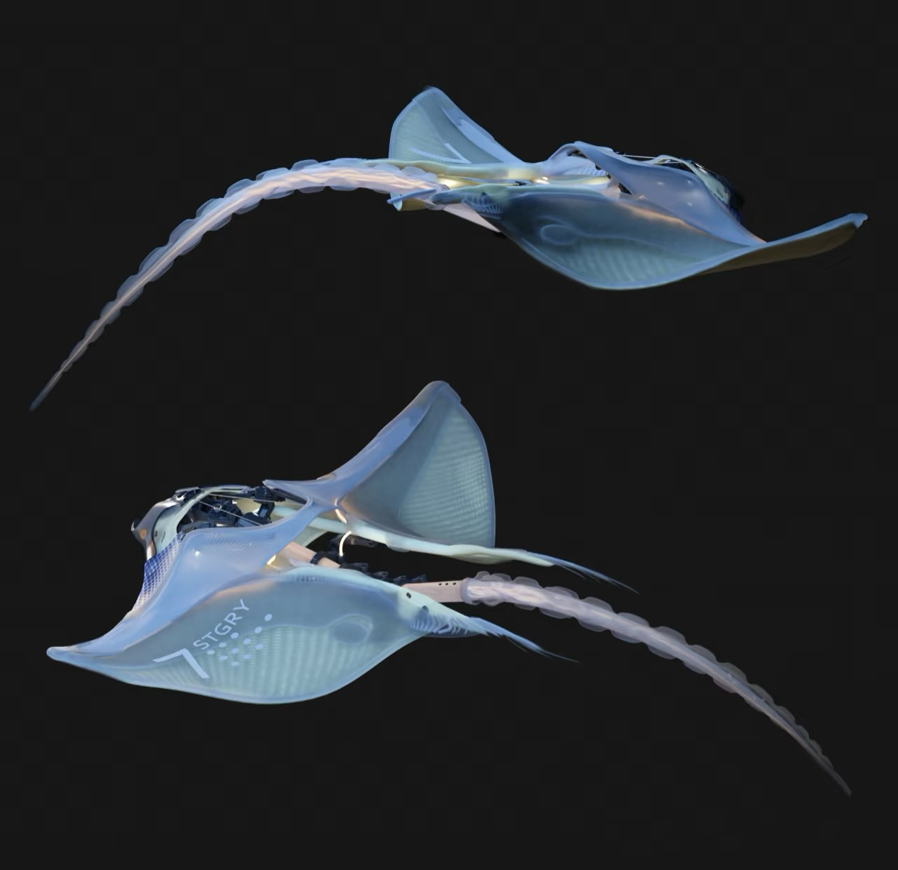 Biomechanical stingray concept