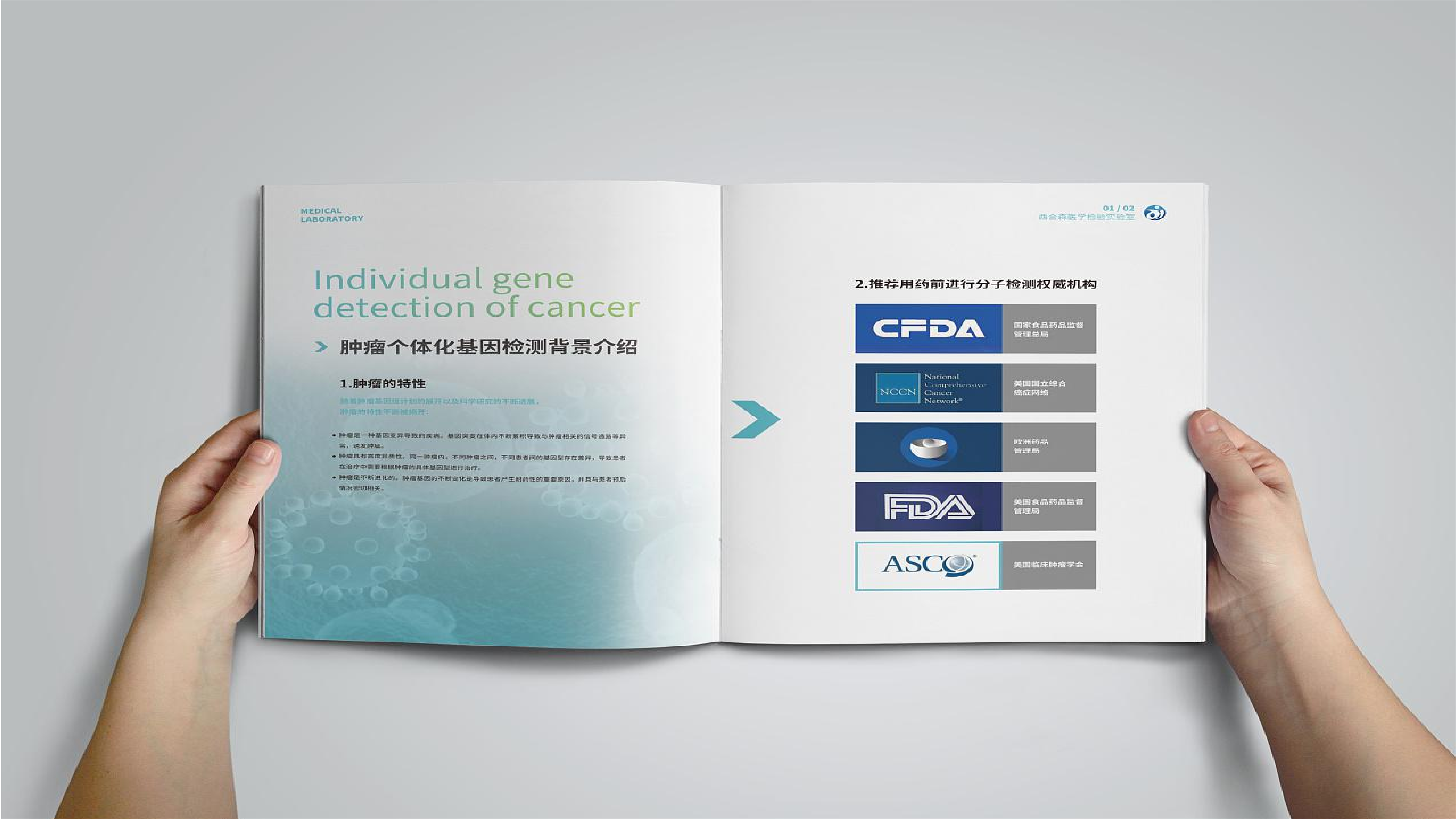 Information architecture publication design